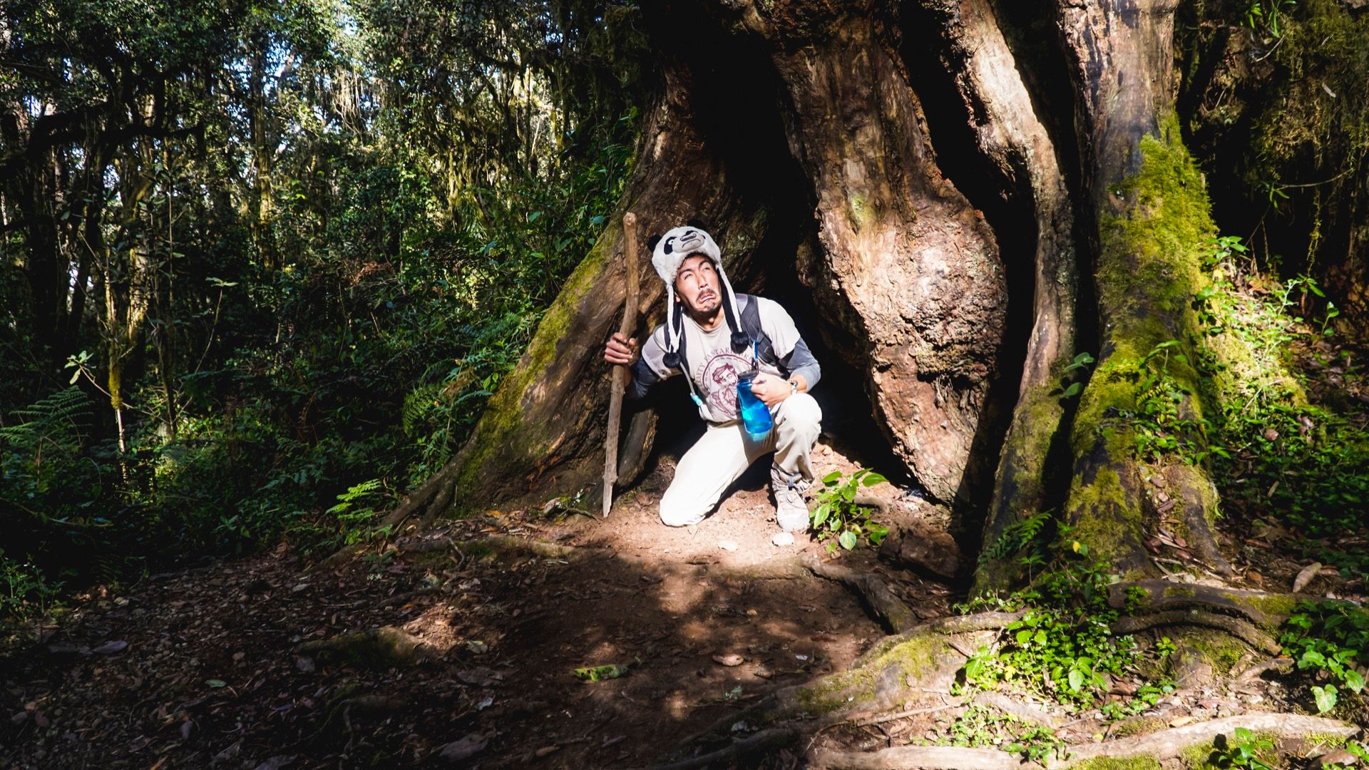 Kilimanjaro (Part 2)