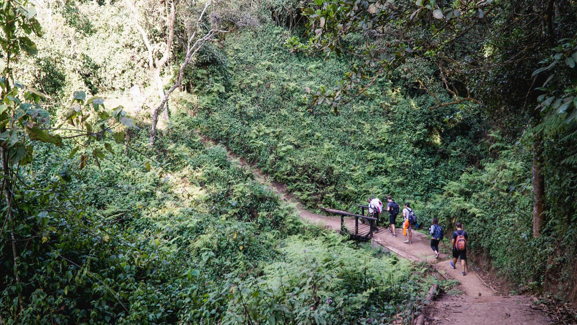 Kilimanjaro (Part 1)