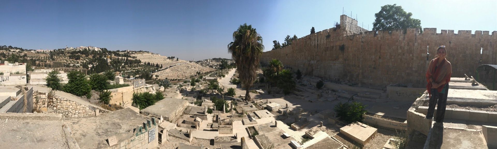 MVIMG_20180702_150720-1