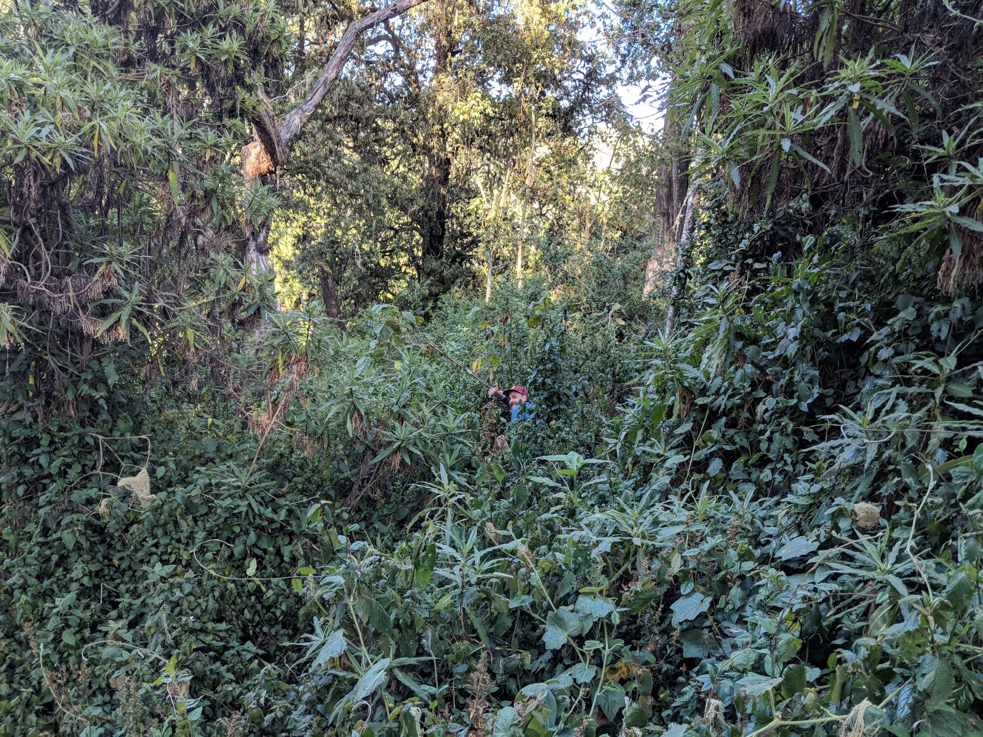 Kilimanjaro (Part 1)