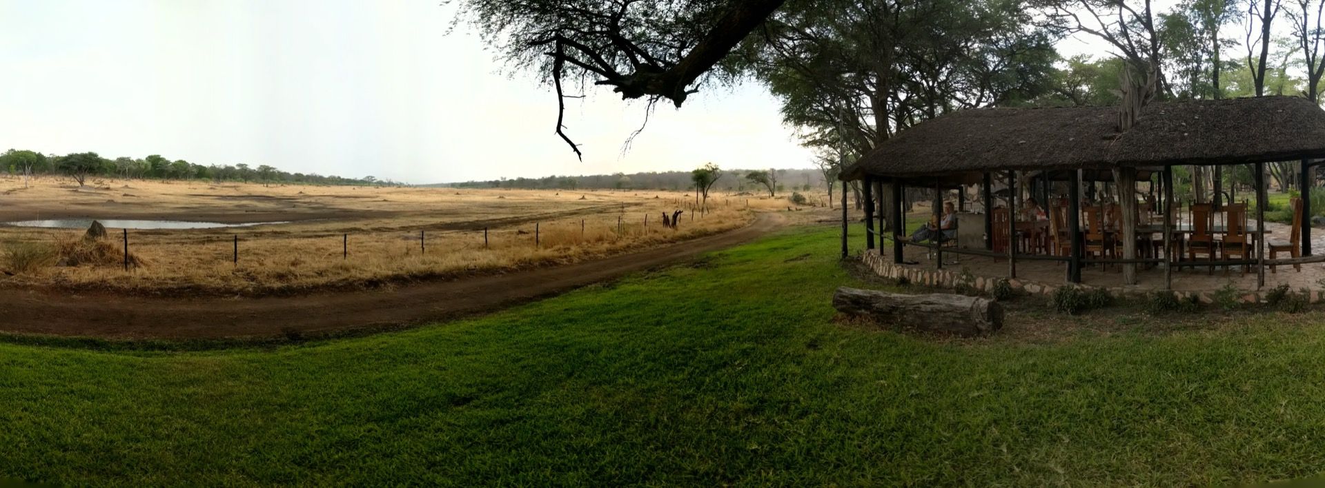 Zimbabwe and Zambia